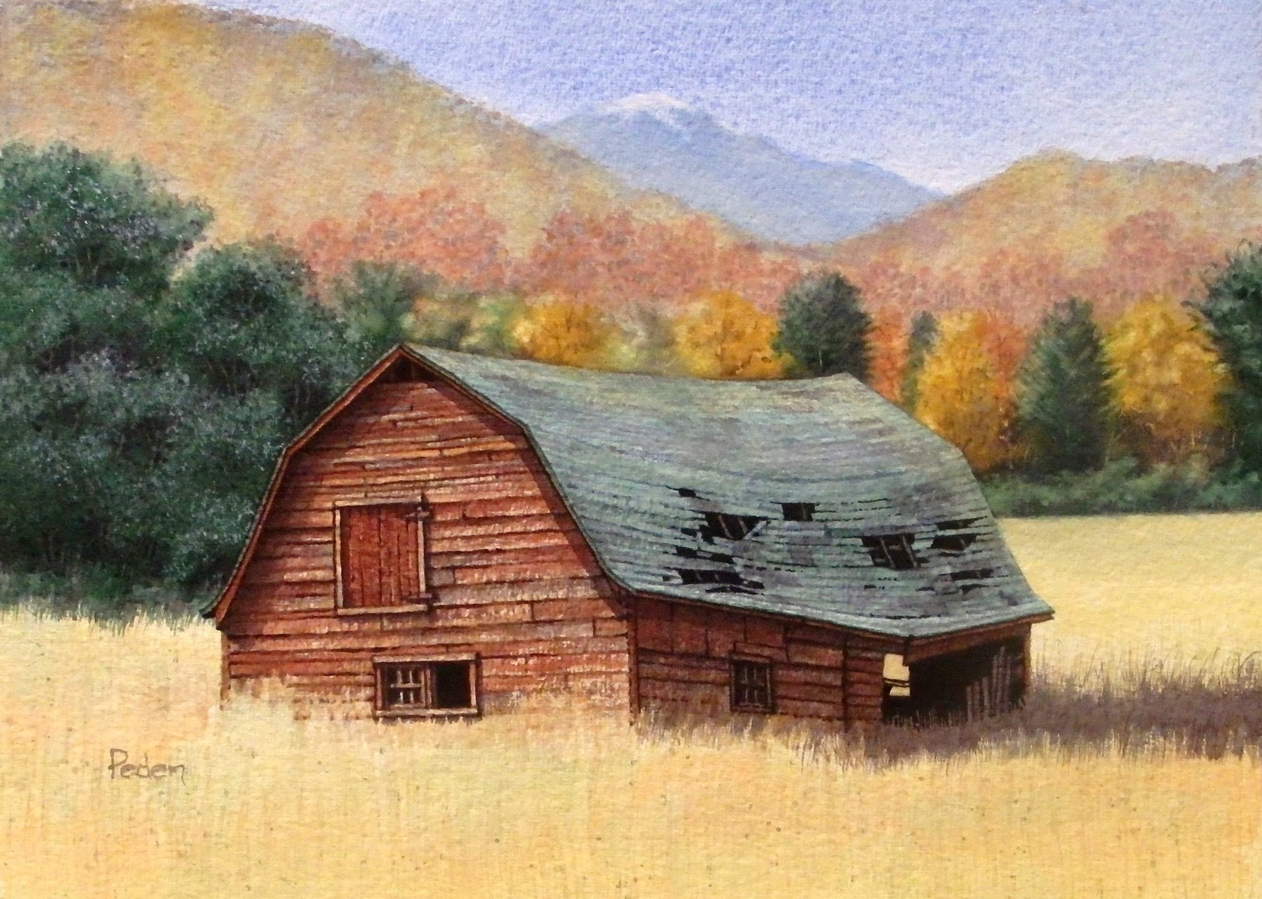 The Old Barn The Art Of Ludij Peden Heritage Artist Yungaburra